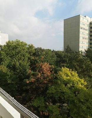 Blick aus dem Balkon