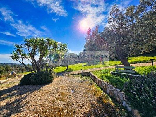 ef8e339f7f4445f9ad9f4e395388d4a8-original