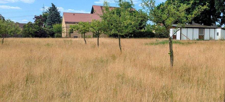 Grundstück und Bungalow