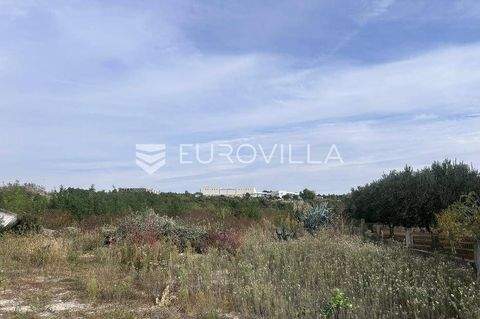 Sveti Filip i Jakov Bauernhöfe, Landwirtschaft, Sveti Filip i Jakov Forstwirtschaft