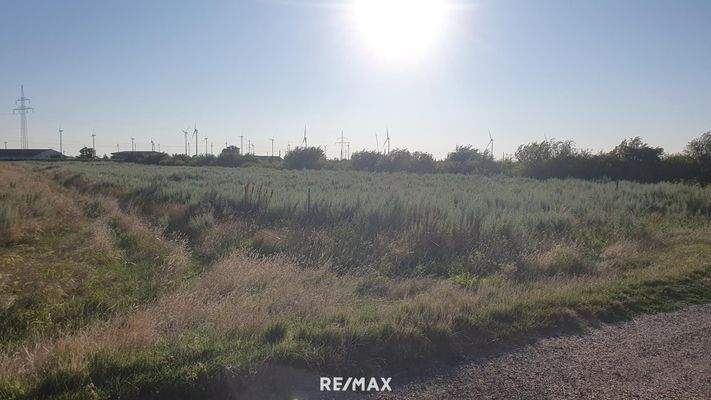 3. Landwirtschaftlicher Grund