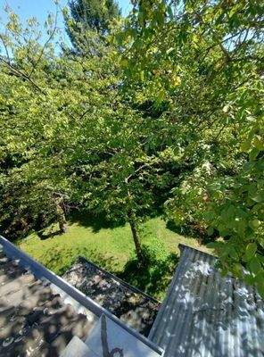 Gartenblick vom Balkon
