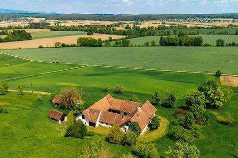 Ilz Bauernhöfe, Landwirtschaft, Ilz Forstwirtschaft