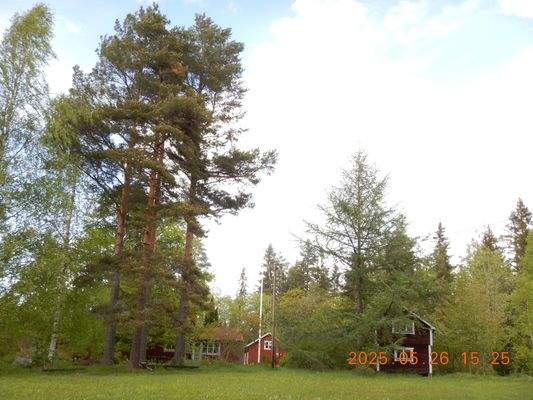 Weiden mit Wohn- u. Gästehaus