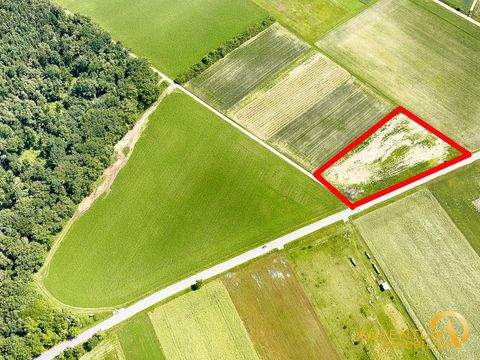 Abensberg Bauernhöfe, Landwirtschaft, Abensberg Forstwirtschaft