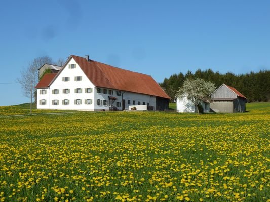 Bauernhaus in traumhafter Lage.jpg