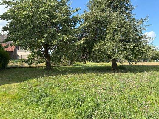 Aussenansichten (3).jpg