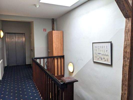 Treppenbereich mit Aufzug