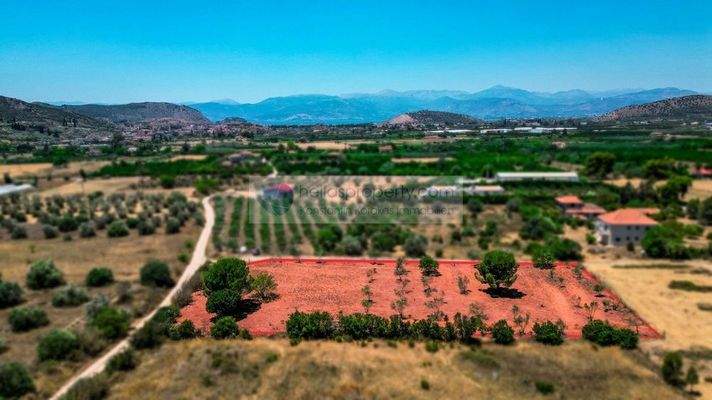 b0092345ec114a5ab1131089b8261e7a-original