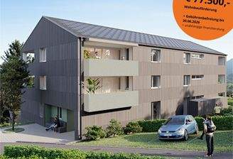 Göfis NW Vignette.jpg