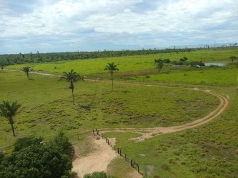 Manaus Grundstücke, Manaus Grundstück kaufen