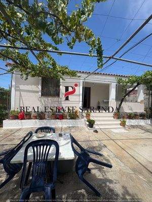 WhatsApp Image 2025-08-05 at 15.15.05.jpeg