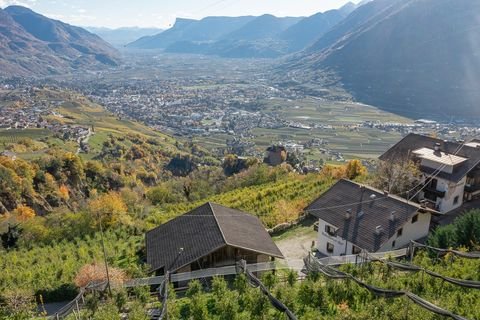 Dorf Tirol-Tirolo / Südtirol-Alto Adige-Southtyrol Häuser, Dorf Tirol-Tirolo / Südtirol-Alto Adige-Southtyrol Haus kaufen