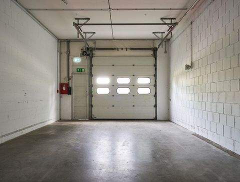 Mainz Halle, Mainz Hallenfläche