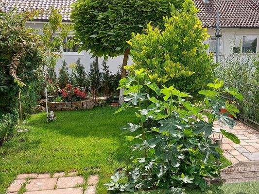 Blick in den schönen Garten im Sommer