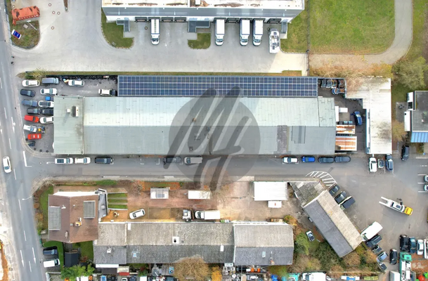 INFOS UNTER: 06171-586000