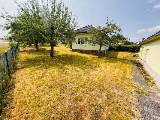 pflegeleichter Gartenbereich 