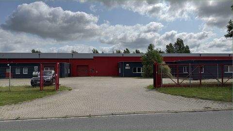 Fehrbellin Halle, Fehrbellin Hallenfläche