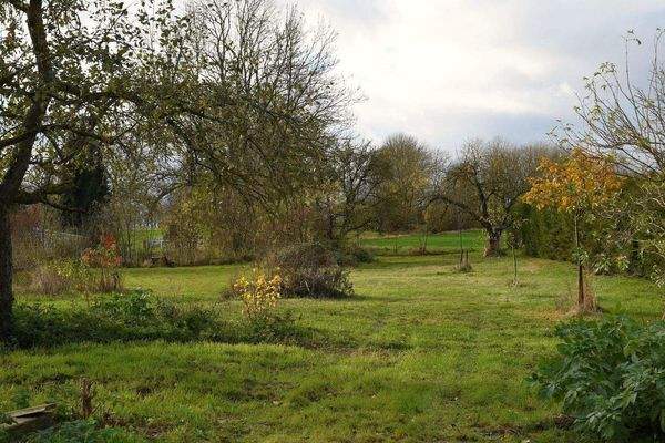 hinterer Gartenbereich