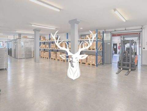 Villingen-Schwenningen Halle, Villingen-Schwenningen Hallenfläche