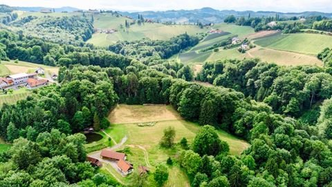 Gamlitz Bauernhöfe, Landwirtschaft, Gamlitz Forstwirtschaft