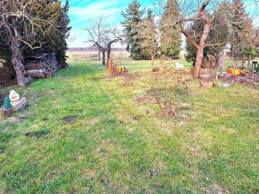 13 Garten gerade.jpg