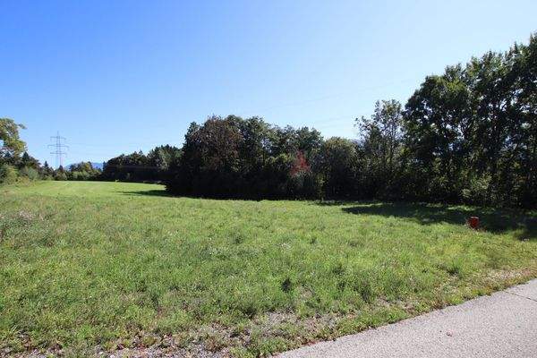 Schöner, großer und flacher 1.850m² Baugrund in Ludmannsdorf - Lukowitz