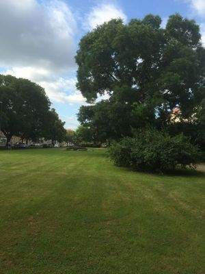 Hepkeplatz - Grünfläche vor dem Haus