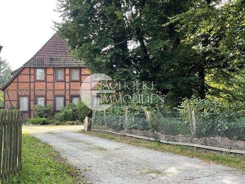 Altenmedingen Häuser, Altenmedingen Haus kaufen