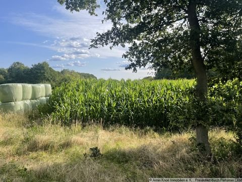 Essen Bauernhöfe, Landwirtschaft, Essen Forstwirtschaft