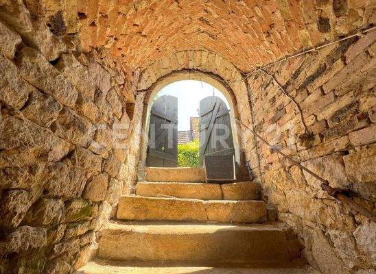 Zugang zum Gewölbekeller