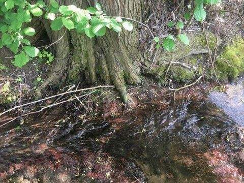 Winden a. Aign Grundstücke, Winden a. Aign Grundstück kaufen