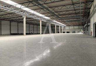 Beispielansicht Halle