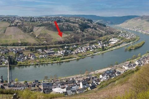 Zell (Mosel) Grundstücke, Zell (Mosel) Grundstück kaufen