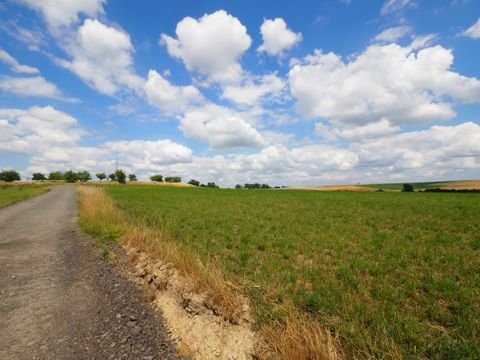 Großsteinhausen Grundstücke, Großsteinhausen Grundstück kaufen