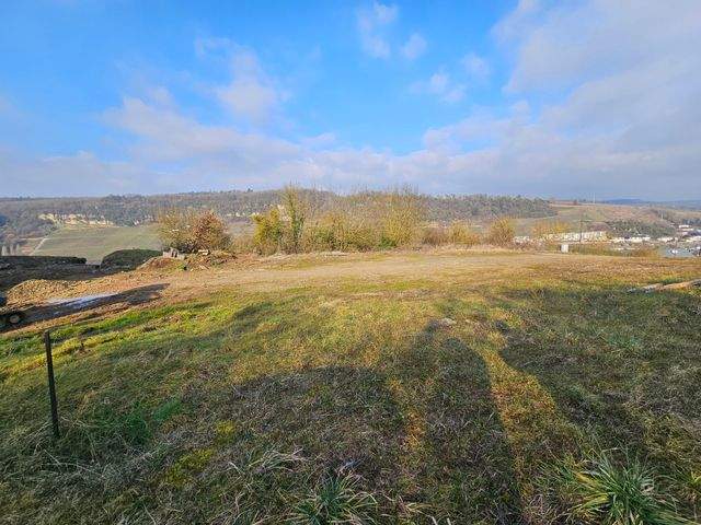 Flur Nr. 220-10 u220-9.jpg