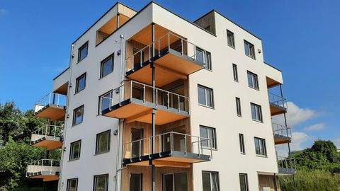 Waldshut-Tiengen Wohnungen, Waldshut-Tiengen Wohnung kaufen