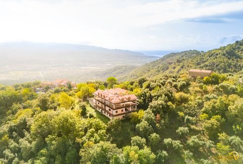 Carullo Häuser, Carullo Haus kaufen