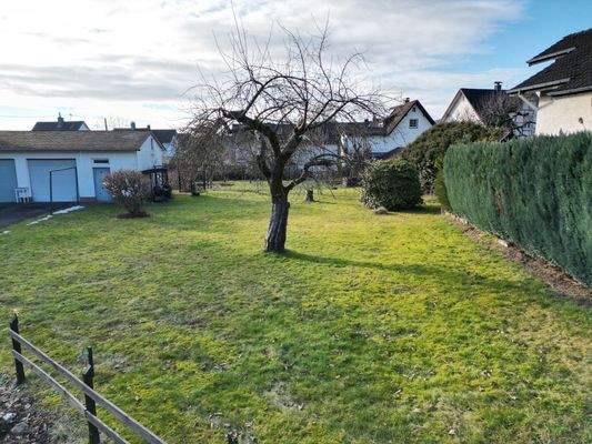 Teilasnciht vom Baugrundstück 