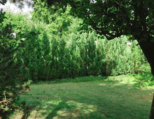 4 Grundstück Ostblick