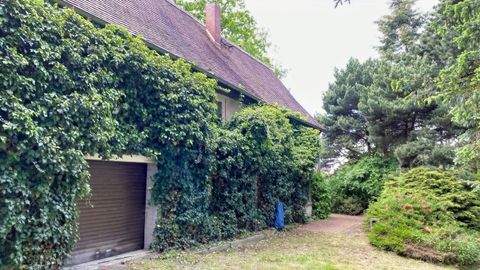 Oberseifersdorf Häuser, Oberseifersdorf Haus kaufen