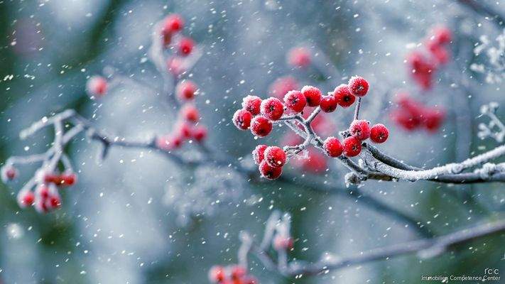 Open House am Samstag, 24.01.2026, 14:00 bis 17:00 Uhr in Kößlarn - ICC Immobilien Competence Center