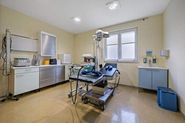 Büro-/Gewerbefläche 