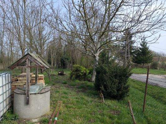 IMG_20250326_102242 (1).jpg