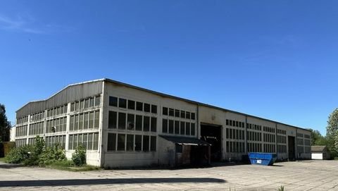 Groß Plasten Halle, Groß Plasten Hallenfläche