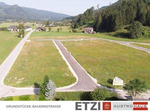 Grünau im Almtal Häuser, Grünau im Almtal Haus kaufen