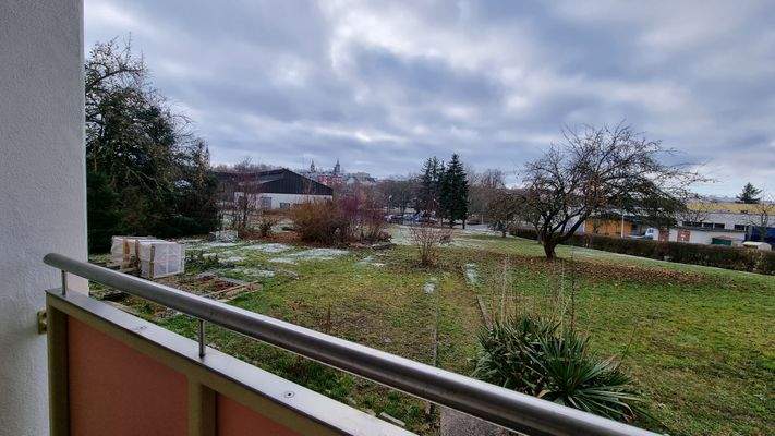 Ausblick in den Garten