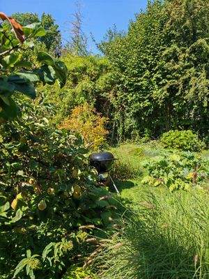 Garten 2.jpg