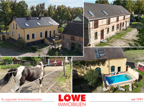 Ludwigsfelde Bauernhöfe, Landwirtschaft, Ludwigsfelde Forstwirtschaft