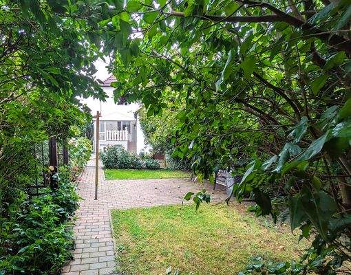 Blick aus dem Garten